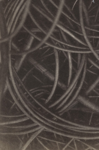 Qu'est ce qui pousse